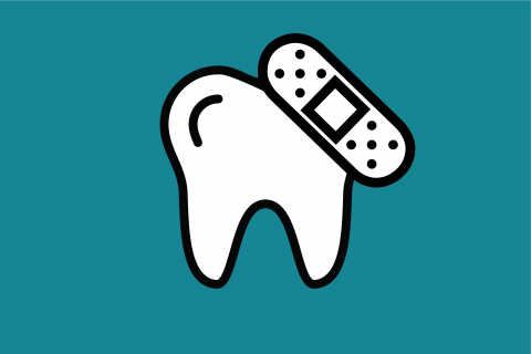 ENDODONTIC, and ORAL SURGERY